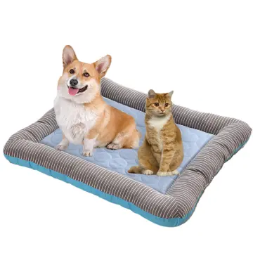 Cold beds for on sale dogs