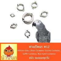 ปังปุริเย่ ห่วงเปิดนก #12 ห่วงขานก แหวนนก (African Grey, Citron Cockatoo, Ducorp Cockatoo, Goffin Cockatoo, Blue Eyed Cockatoo) สต็อกแน่น อาหาร นก อาหารนกหัวจุก อาหารนกแก้ว อาหารหงส์หยก