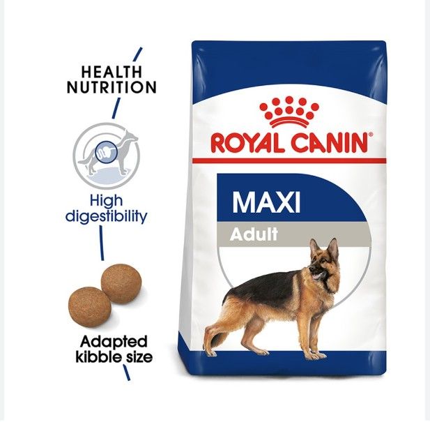 42pets-royal-canin-maxi-adult-อาหารสำหรับสุนัขโต-พันธุ์ใหญ่-อายุ-15-เดือน-5-ปี-ขนาด-15kg-สำหรับสุนัขโต-พันธุ์กลาง-ขนาด-15-kg