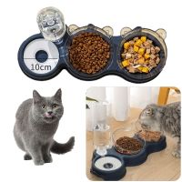 Pet Cat Bowl Automatic Feeder 3-in-1 Dog Cat Food Bowl With Water Fountain Double Bowl Drinking Raised Stand Dish Bowls For Cats