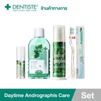 Dentiste Daytime Andrographis Care Set - สำหรับแปรงตอนเช้า ยาสีฟันสูตรฟ้าทะลายโจร 100g. แปรงสีฟัน Daytime น้ำยาบ้วนปาก 200ml. สเปรย์ดับกลิ่นปาก Probiotic