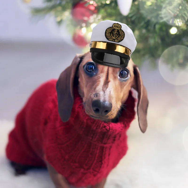 Sea Captain Dog Costume