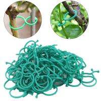 2050100 Pcs คลิปพืช Garter พืชคลิปมะเขือเทศ Reusable Garden Plant Support Rill Greenhouse Plant Seeding Vines Clamp