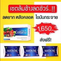 Matane Set ล้มช้างลดชัวร์ 3:1