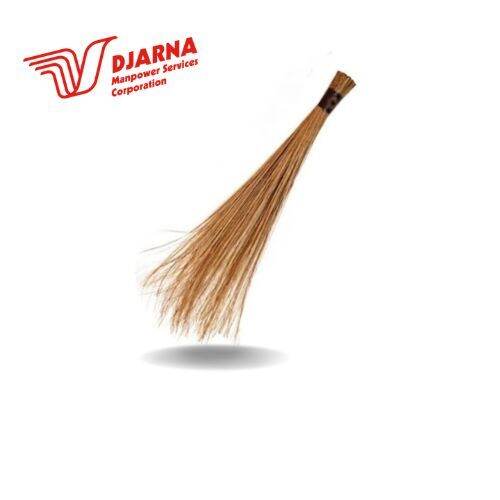 Stick Broom Lazada PH