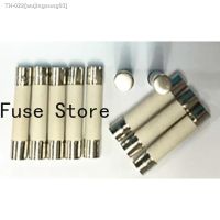 ◙۞ 10PCS 6x30mm Explosion-proof Ceramic Fuse/tube With Lead Fast/slow Break Type 250V/8A T8A