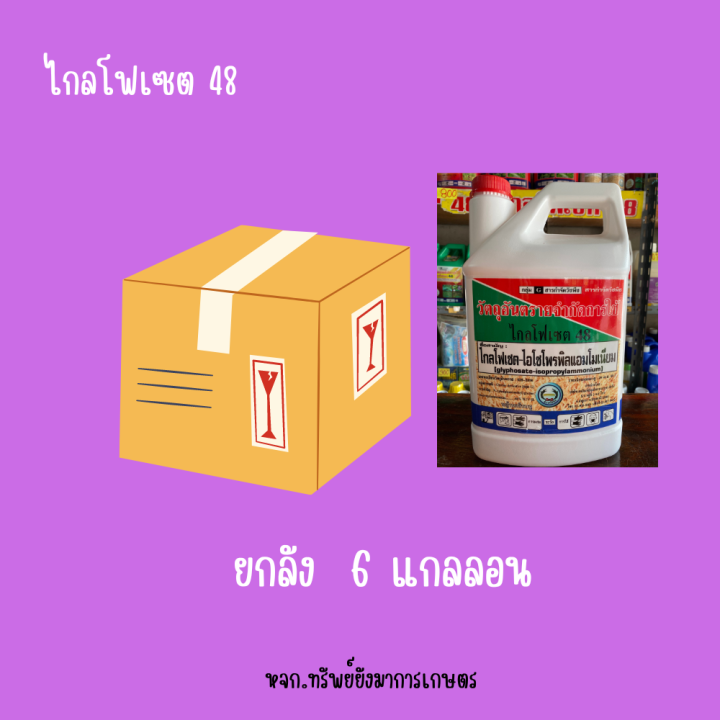 ไกลโฟ-เซต48-ตราหวีทอง-3-แกลลอน-6-แกลลอน-สารกำจัดวัชพืช-มันสำปะหรั่ง-ยาดูดซึม