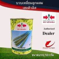 เมล็ดพันธุ์ บวบเฮอร์คิวลีส 50g