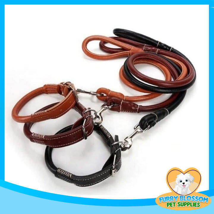 Heavy Duty Leash leader | Lazada PH