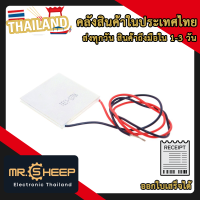 เพลเทีย TEC1-12706 12V 60W เทอร์โมอิเล็คทริก (โกดังประเทศไทย)