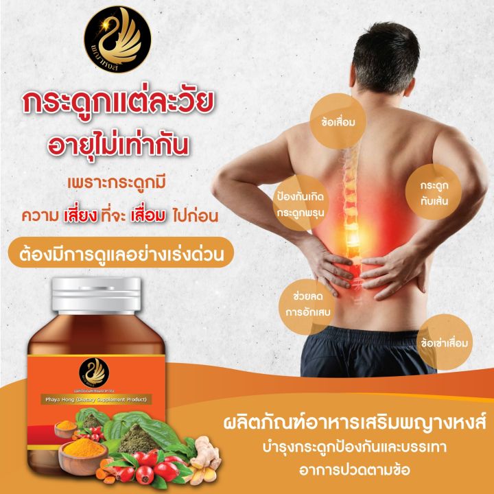 ปวดเข่า-ไขข้อเข่าเสื่อม-ผลิตภัณฑ์เสริมอาหาร-พญาหงส์-รักษาอาการ-ปวดหลัง-เจ็บหลัง