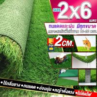 ขนาด 2x6 เมตร(12ตรม.)หญ้าเทียมใบ 2 ซม กัน UV คุณภาพดีเกรดเอสำหรับตกแต่งสวน ตกแต่งบ้าน ร้านค้า หญ้าปูพื้น หญ้าเทียมถูกๆ มีทุกขนาดสอบถามได้