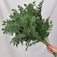 【cw】52cm Green Locust Leaves Brown Plant Artificial Silk Locust Leaf 5 nche Fake Tree Leaf For Home Wed Simulation Leaf Decoratio ！