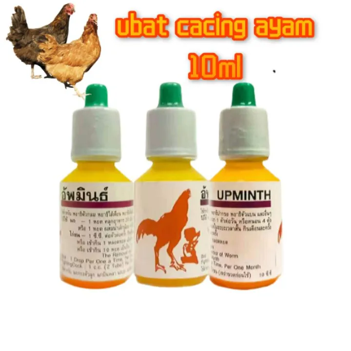 Upminth Ubat Cacing Ayam 10ml Lazada