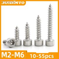 △ JUIDINTO 10-55pcs Allen Head Tapping Screws M2 M2.6 M3 M3.5 M4 M5 M6 Stainless Steel Hex Socket Self Tapping Screw for Speaker