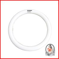 หลอดไฟ LED หลอดไฟ หลอด REFLED SYLVANIA CIRCULAR DL 20 วัตต์ พลาสติก สีขาว 
 หลอดนีออนกลม LED ให้ความสว่างมากกว่าหลอดนีออ