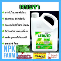 เรนบรา ขนาด 4 ลิตร สารจับใบ จับใบ ชนิดเข้มข้น สูตรทนฝน สารเพิ่มประสิทธิภาพดูดซึม ปรับสภาพน้ำ ทำให้ฆ่าแมลง ฆ่าหญ้ามีประสิทธิภาพดีขึ้น