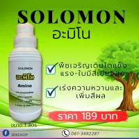 Solomon Amino อะมิโน เจริญเติบโตดี แข็งแรง ใบเขียวสด ดอก ผล เจริญเติบโตได้ดี เพิ่มความหวาน สีสีนสวย เพิ่มผลผลิต ขนาดบรรจุ1000ml.