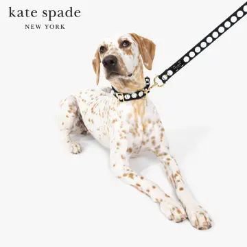 Kate Spade New York Adventure Stripe Dog Collar