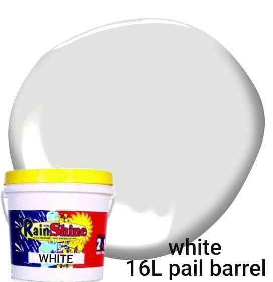 Rain or Shine Elastomeric House Latex Waterproofing Paint White 16