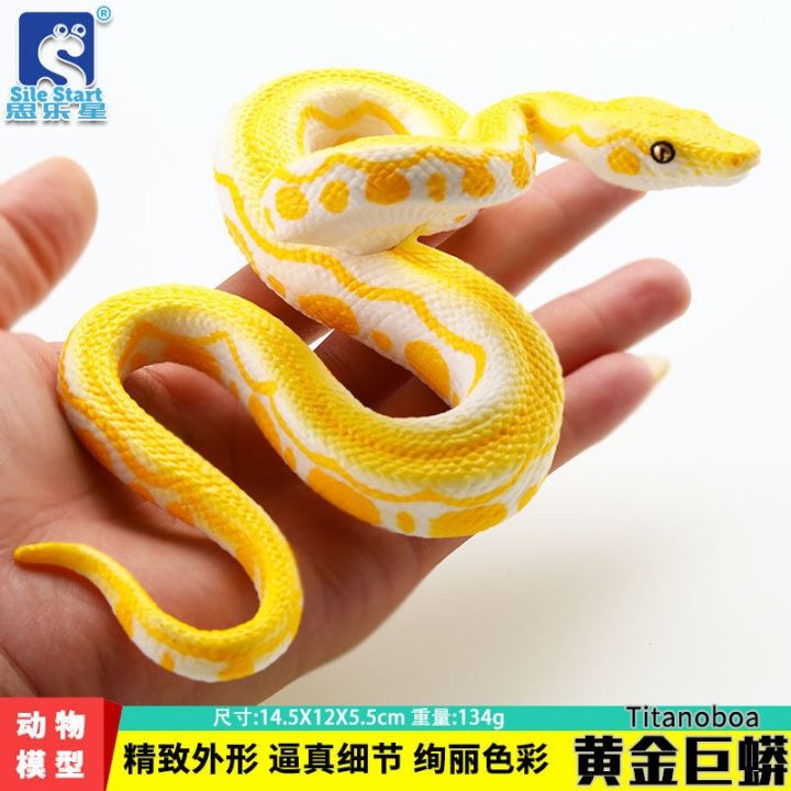 solid-simulation-model-of-animal-toys-reptiles-suit-children-cobra-gold-python-emperor-python-ball-pythons