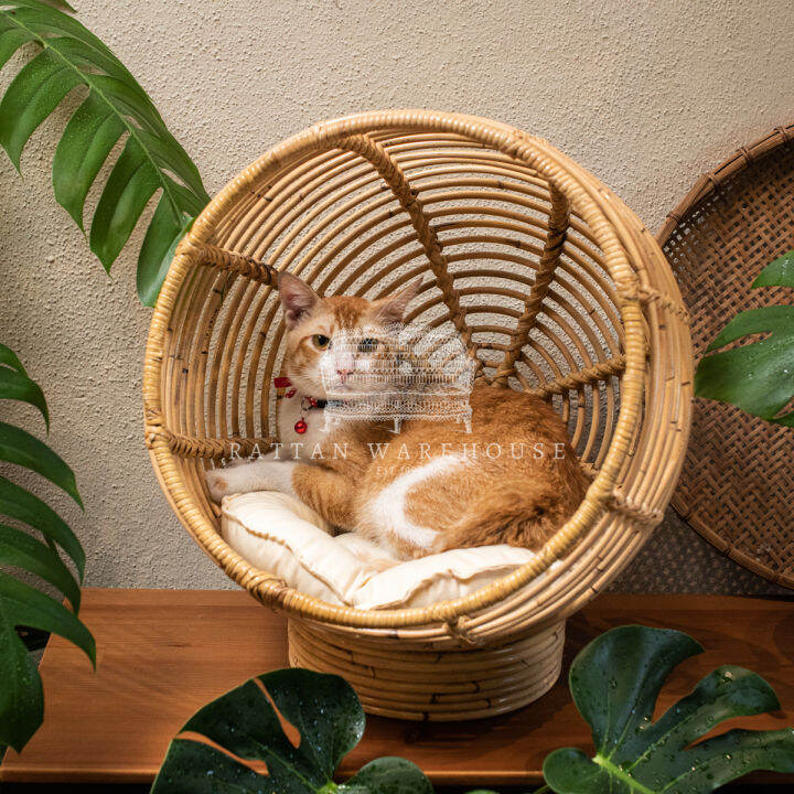 Rattan Warehouse [Alila Pet House Hotel Resort House] Premium Original