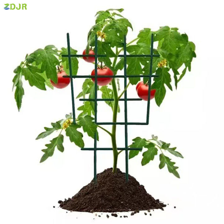 zdjr-โครงไม้เลื้อยพลาสติกรูปทรงเรขาคณิตสำหรับพืชสวนโครงตาข่ายสำหรับอุปกรณ์เสริมปลูกพืชกระถาง