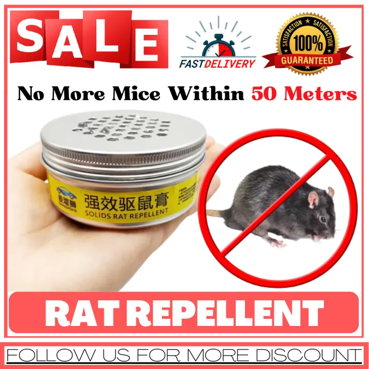 Homemade Rat Repellent Recipe | Besto Blog