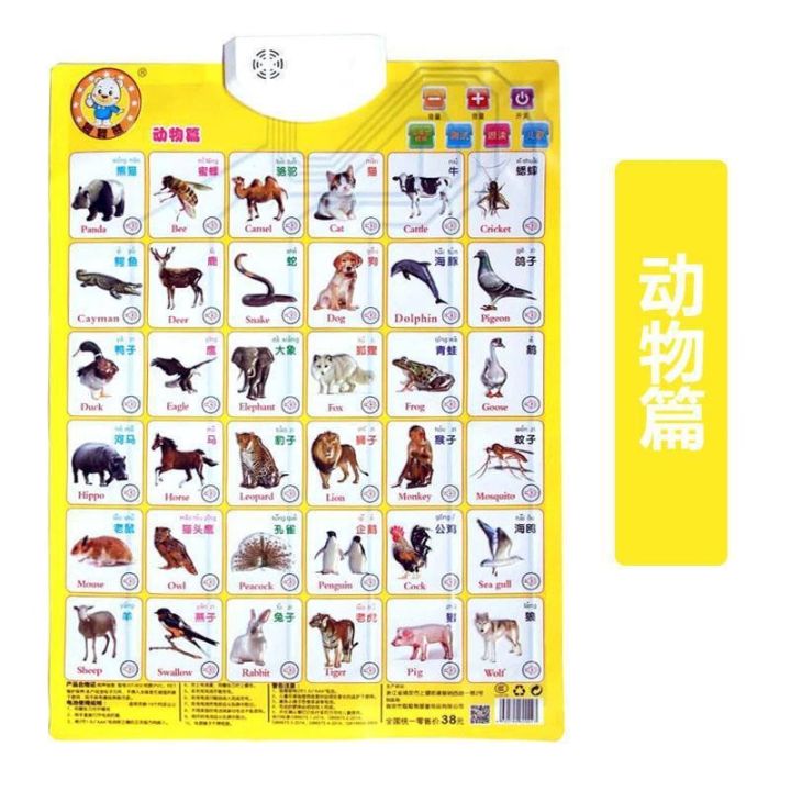 chinese-pinyin-initials-final-overall-picture-syllable-alphabet-voice-voice-sound-hang-card-picture-elementary-school