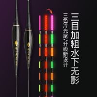 Luminous fish float day and night dual-use cold light tail underwater shadowless bite hook discoloration super bright crucian carp float high sensitive electronic float fishhook