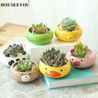 Animal Bonsai Pot Cartoon Succulent Flowerpot Cute Pig Bear Cat Planter Poted Fleshy Ceramic Vase Garden Home Decoration