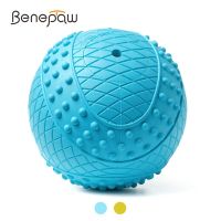 Durable Floatable Pet Ball Squeaky Eco-Friendly Natural Rubber Beef Flavor Small Large Dog Toys Teeth Cleaning