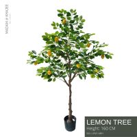 Lemon Tree - Height 160 cm ต้นเลม่อน ความสูง 160 ซม.ต้นไม้ปลอมเกรดพรีเมี่ยมเพื่อการตกแต่ง ต้นไม้ประดิษฐ์ตกแต่งบ้าน คอนโด