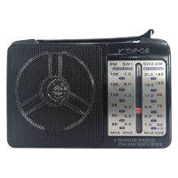 NanoRadio RCH-505