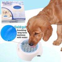 ถูกที่สุด!! Cooling bowl ชามใส่น้ำเจลเย็น ดับร้อน สำหรับสัตว์เลี้ยง ถ้วยใส่น้ำเจลเย็น ดับร้อน หมา แมว ขนส่ง kerry