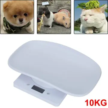 Pet weight scale 150kg/50g stainless steel pet electronic scale pet dog  weight electronic weigh 110/220V 1PC