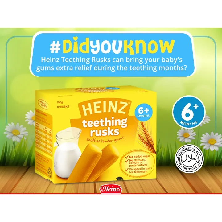Heinz Teething Rusks 6+ months (100g) Lazada