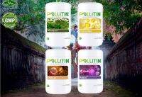 Pollitin set 4 พอลลิติน เซ็ท 4 ตัว