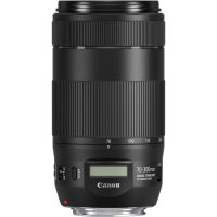 Canon EF 70-300mm f/4-5.6 IS II USM Lens