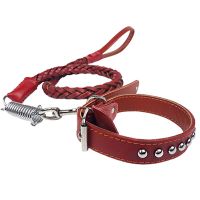 Leather Dog Leash and Collar Set Soft Leather Collar and Strong Braided Leash Comfortable Dog Training Leash for Walking Leashes