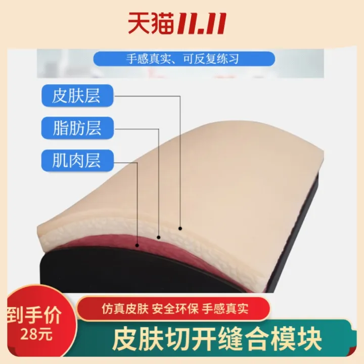 Surgical knot suture skin model stitch needle surgical incision wound