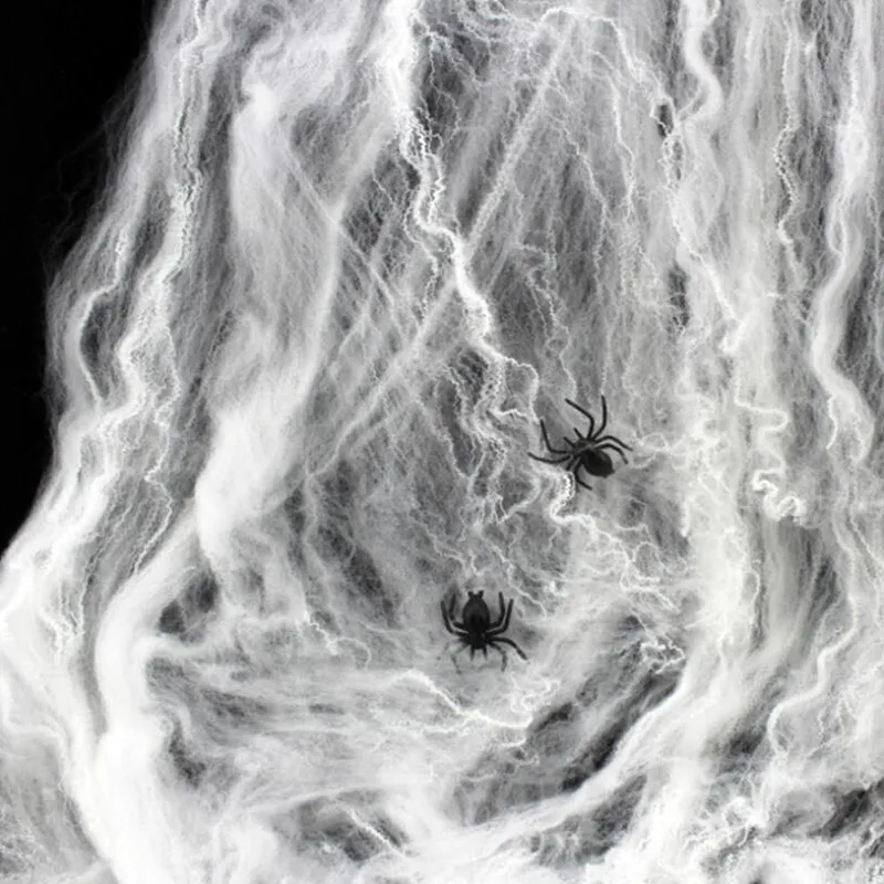 Mạng nhện Cobweb s miễn phí góc khu vực png  PNGEgg