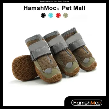 Dog shoes outlet chewy