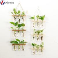 ALLEYDG แจกันตกแต่งผนังกล่องแก้วใสตกแต่งผนังหลอดทดลอง Hydroponic พืชแขวนติดผนังแขวน