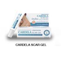 CARDELA Scar Gel 10 g คาร์เดลาร์ สการ์เจล อ่อนโอน รอยแผลเป็นแลดูจางลง (10/11/25)