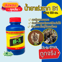 ยาเร่งราก B-1 Multi extra start  ? น้ำยาเร่งราก บีวันยาเร่งราก ช่วยในการกิ่งตอน แตกรากพืช  ปักชำ ย้ายปลูกใหม่ ฟื้นตัวเร็ว 100cc?