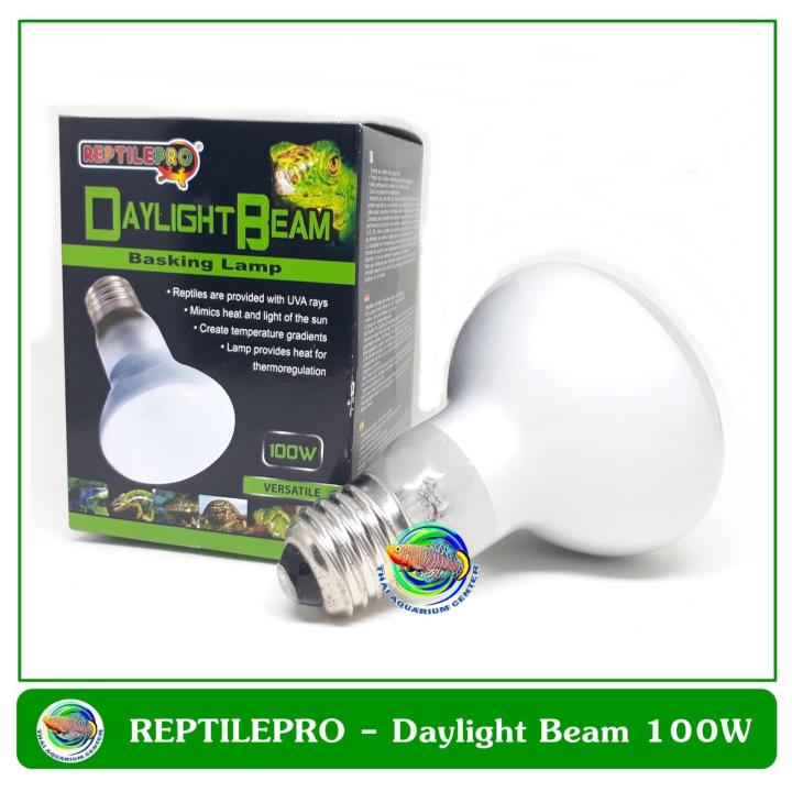 หลอดไฟให้ความร้อนสำหรับสัตว์เลื้อยคลาน REPTILEPRO DAYLIGHT BEAM BASKING LAMP 100W