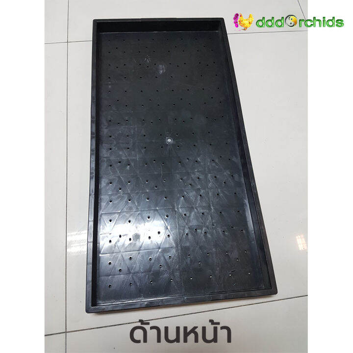 ถาดเพาะต้นอ่อน-10-ใบ-ขนาด-30-x-60-x-3-5-ซม-ร้าน-dddorchids