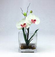 OrientalFineArt  แจกันดอกกล้วยไม้ประดิษฐ์ สไตล์มินิมอล Artificial Orchid in glass ดอกไม้พร้อมแจกัน