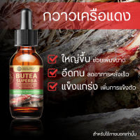 ชะลอการหลั่งท่านชาย  กวาวเครือแดง Butea Superba Extracted (High Concentration) ใช้คู่กระบอกปั้มได้ผลดี ชนิดน้ำขนาด 25 มล. (จัดส่งของภายใน1-2วัน)